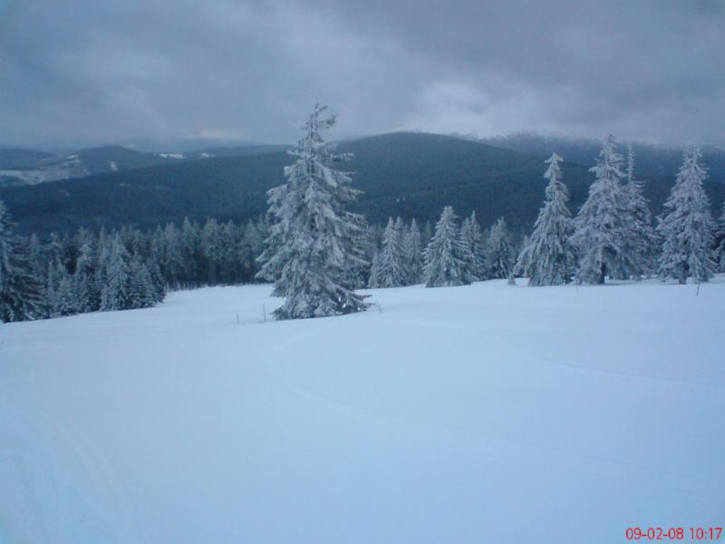 4_1202647664.jpg